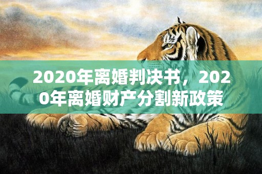 2020年离婚判决书，2020年离婚财产分割新政策
