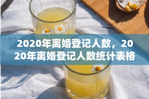 2020年离婚登记人数，2020年离婚登记人数统计表格