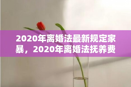 2020年离婚法最新规定家暴，2020年离婚法抚养费最新规定是什么标准