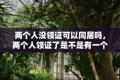 两个人没领证可以同居吗，两个人领证了是不是有一个新的户口本 领证不需要户口本了