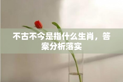 不古不今是指什么生肖，答案分析落实