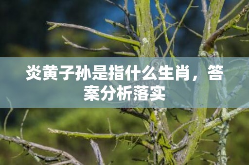 炎黄子孙是指什么生肖，答案分析落实