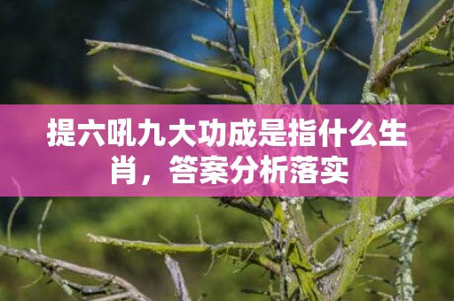 提六吼九大功成是指什么生肖，答案分析落实