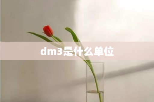 dm3是什么单位