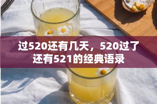 过520还有几天，520过了还有521的经典语录