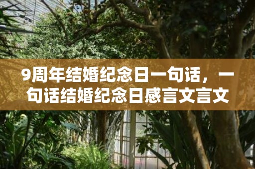 9周年结婚纪念日一句话，一句话结婚纪念日感言文言文