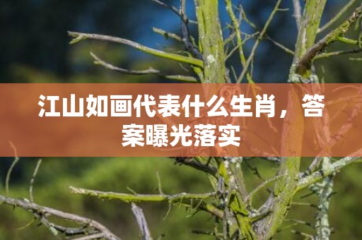 江山如画代表什么生肖，答案曝光落实