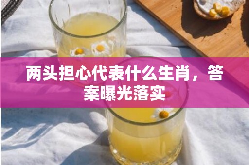 两头担心代表什么生肖，答案曝光落实