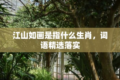 江山如画是指什么生肖，词语精选落实