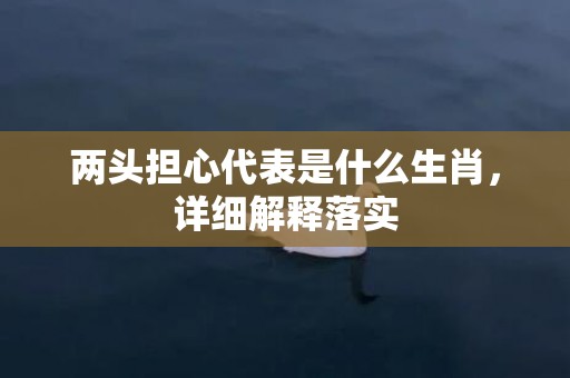 两头担心代表是什么生肖，详细解释落实