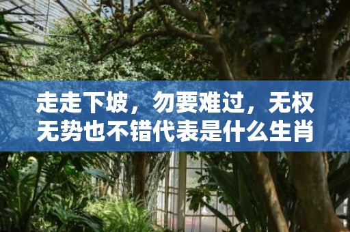 走走下坡，勿要难过，无权无势也不错代表是什么生肖，词语解答落实