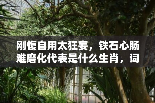 刚愎自用太狂妄，铁石心肠难磨化代表是什么生肖，词语解答落实