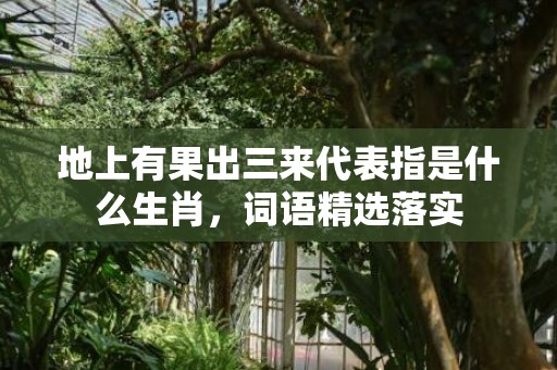 地上有果出三来代表指是什么生肖，词语精选落实