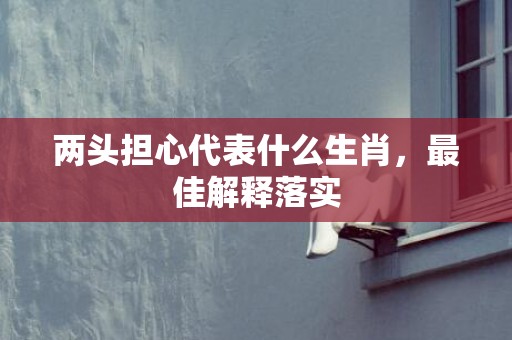两头担心代表什么生肖，最佳解释落实
