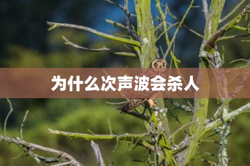 为什么次声波会杀人