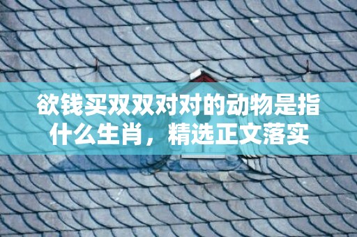 欲钱买双双对对的动物是指什么生肖，精选正文落实