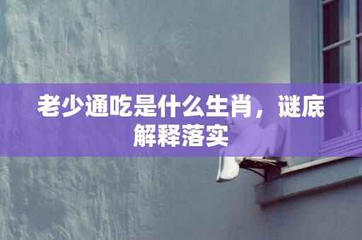 老少通吃是什么生肖，谜底解释落实
