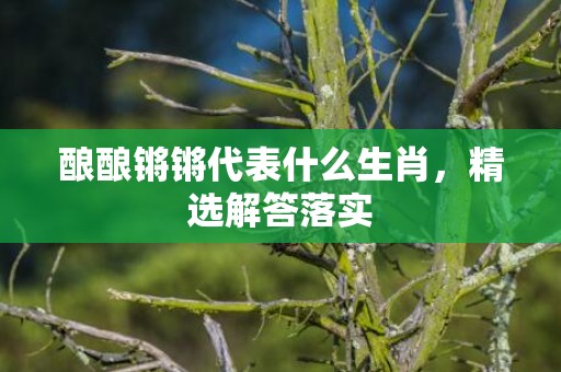 酿酿锵锵代表什么生肖，精选解答落实