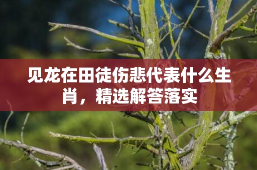 见龙在田徒伤悲代表什么生肖，精选解答落实