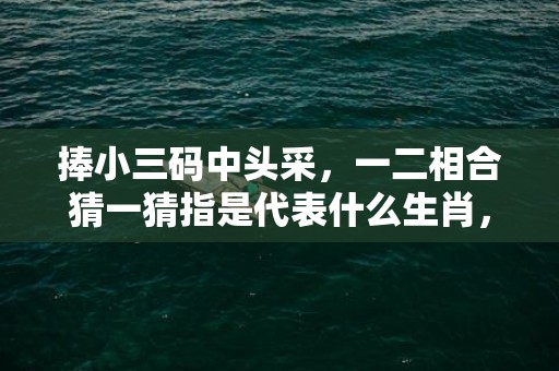 捧小三码中头采，一二相合猜一猜指是代表什么生肖，成语解释落实