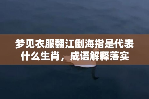 梦见衣服翻江倒海指是代表什么生肖，成语解释落实