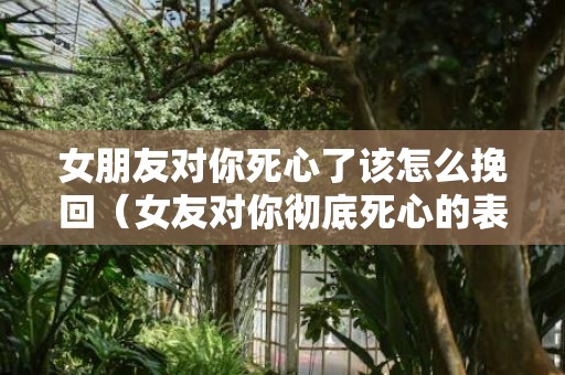 女朋友对你死心了该怎么挽回（女友对你彻底死心的表现）