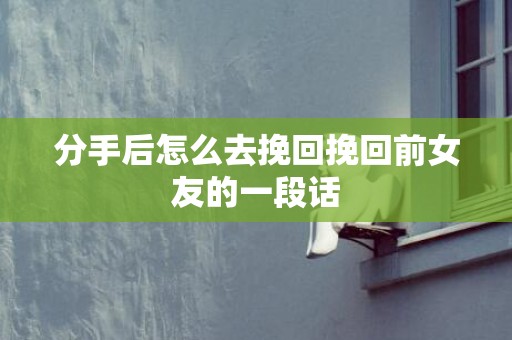 分手后怎么去挽回挽回前女友的一段话