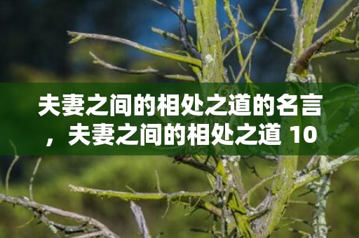 夫妻之间的相处之道的名言，夫妻之间的相处之道 10个小禁忌千万别犯，夫妻相处10大忌