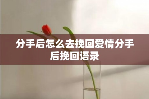 分手后怎么去挽回爱情分手后挽回语录