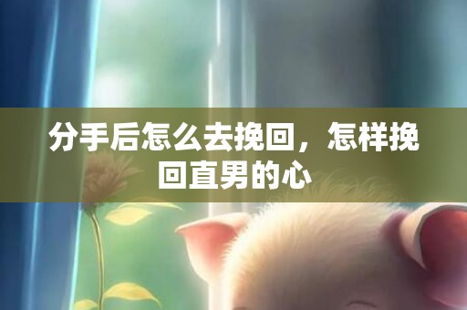 分手后怎么去挽回，怎样挽回直男的心