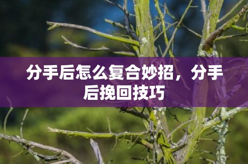 分手后怎么复合妙招，分手后挽回技巧