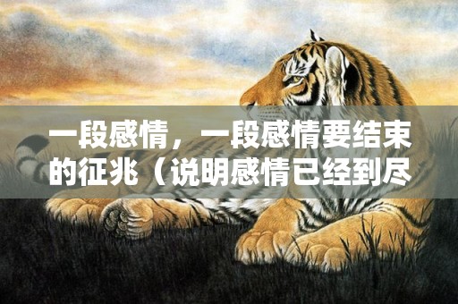 一段感情，一段感情要结束的征兆（说明感情已经到尽头了）