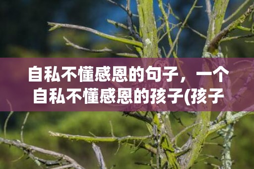 自私不懂感恩的句子，一个自私不懂感恩的孩子(孩子不懂感恩的表现有哪些)