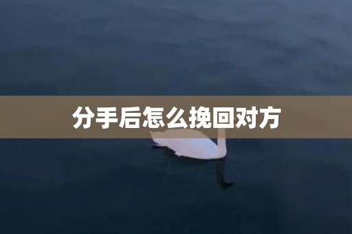 分手后怎么挽回对方