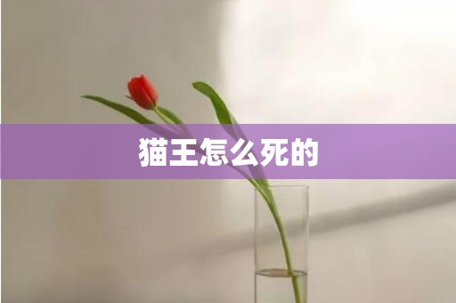 猫王怎么死的