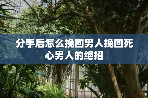 分手后怎么挽回男人挽回死心男人的绝招