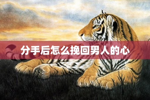 分手后怎么挽回男人的心