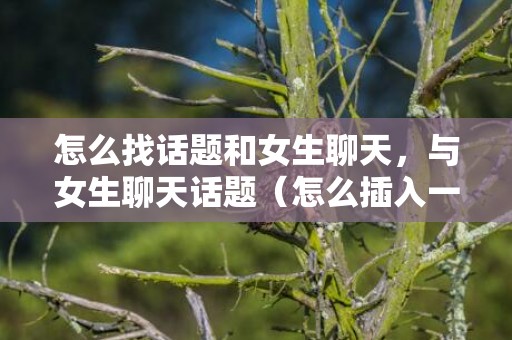 怎么找话题和女生聊天，与女生聊天话题（怎么插入一个女生的话题）