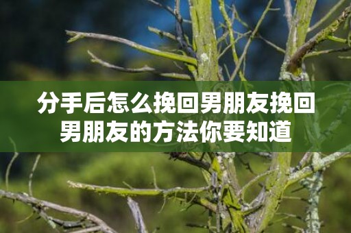 分手后怎么挽回男朋友挽回男朋友的方法你要知道