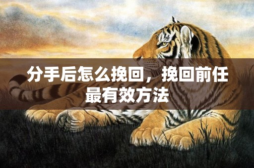 分手后怎么挽回，挽回前任最有效方法