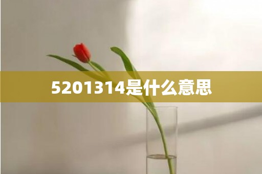 5201314是什么意思