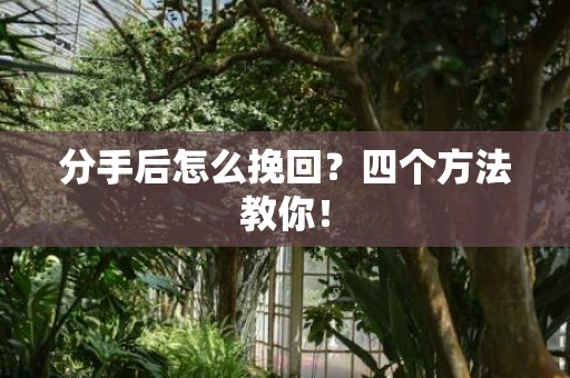 分手后怎么挽回？四个方法教你！