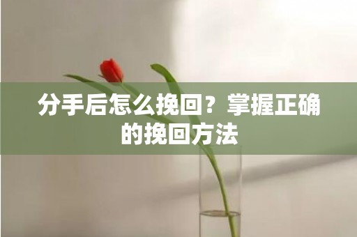 分手后怎么挽回？掌握正确的挽回方法