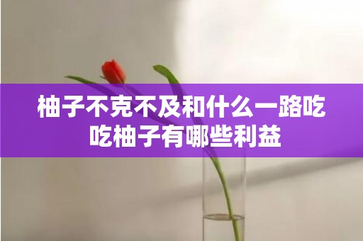 柚子不克不及和什么一路吃 吃柚子有哪些利益