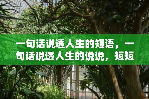 一句话说透人生的短语，一句话说透人生的说说，短短一句,说透人生图片