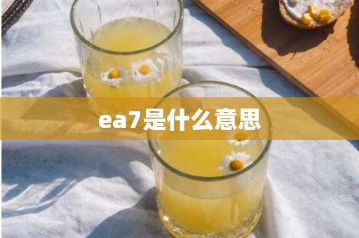 ea7是什么意思