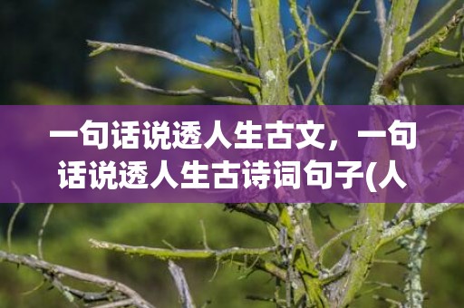 一句话说透人生古文，一句话说透人生古诗词句子(人生感悟的经典诗句)