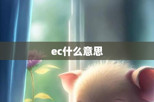 ec什么意思