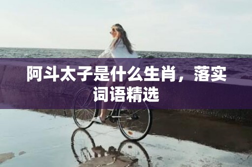 阿斗太子是什么生肖，落实词语精选
