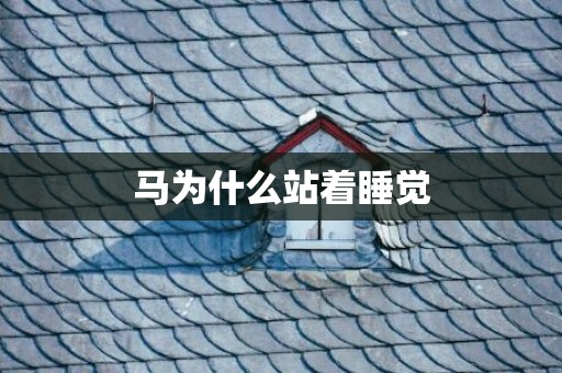 马为什么站着睡觉